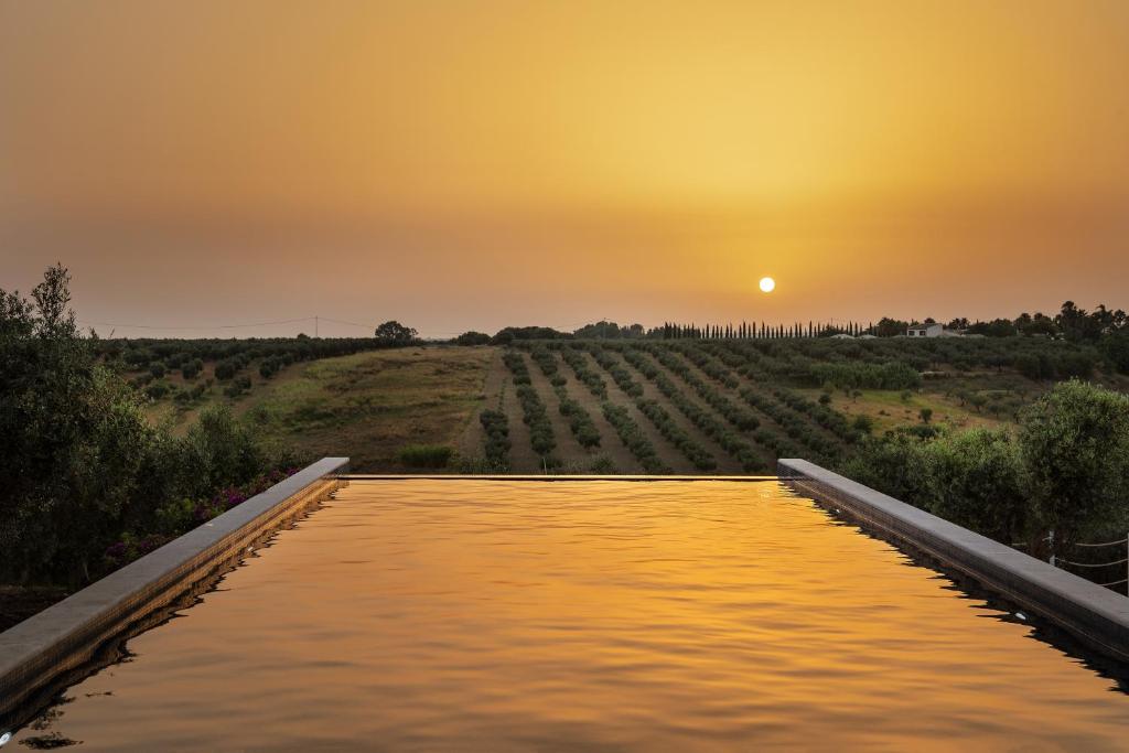 Momentum Wellness Bioresort photo 4