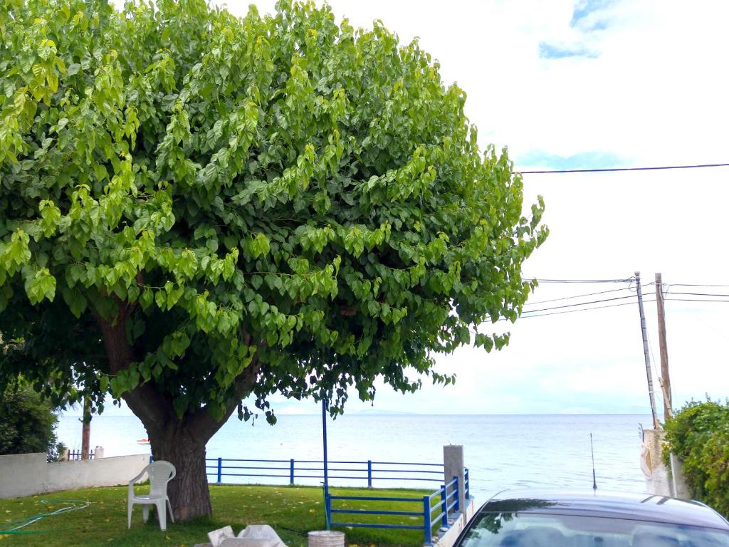 Papadogiannopoulos House photo 4