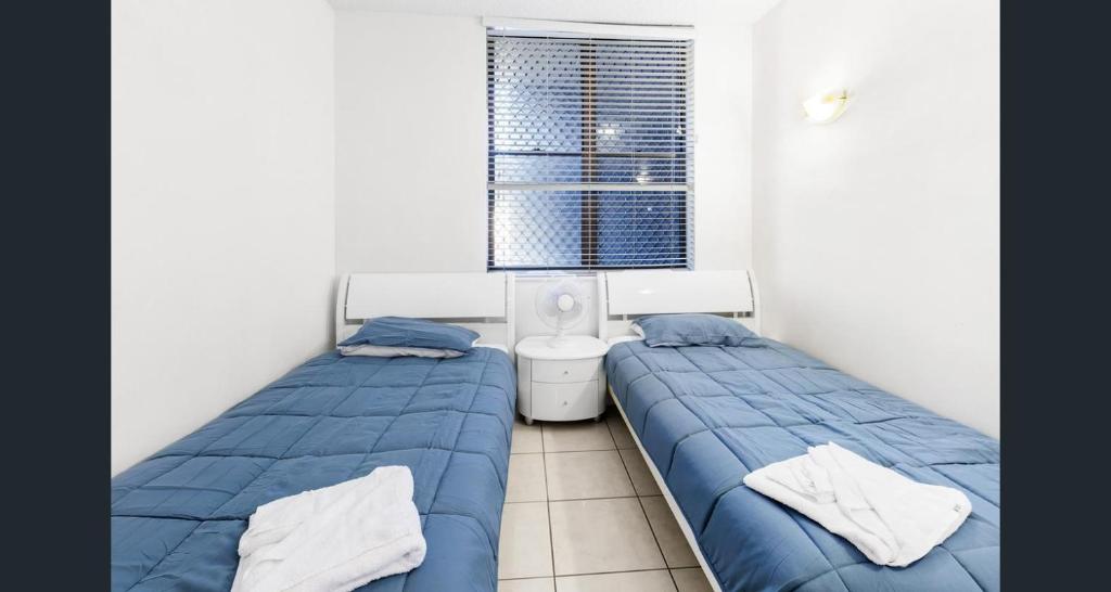 Shandelle Apartments photo 3