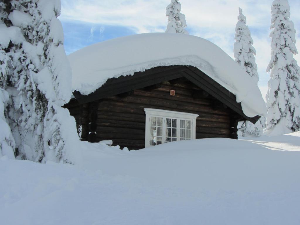 Koselig familiehytte sentralt på Skeikampen til leie photo 2