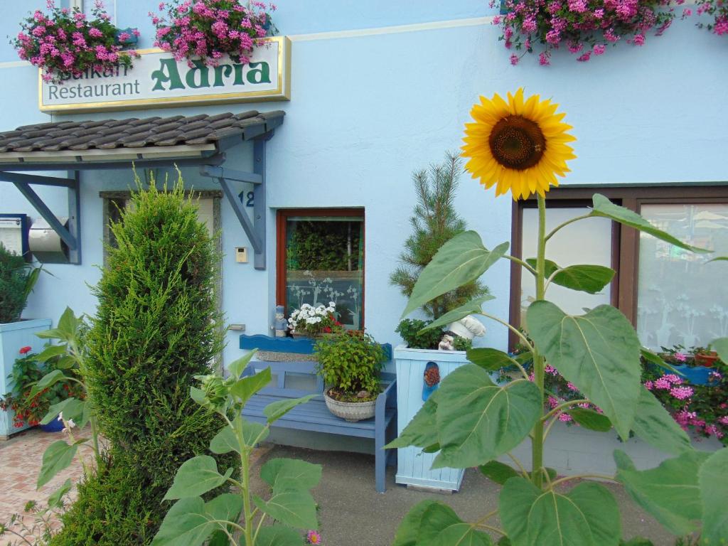 Hotel/Restaurant Adria photo 1