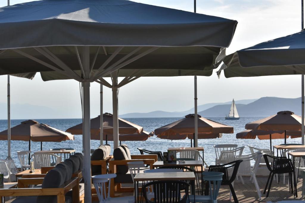 Evia Dream photo 1