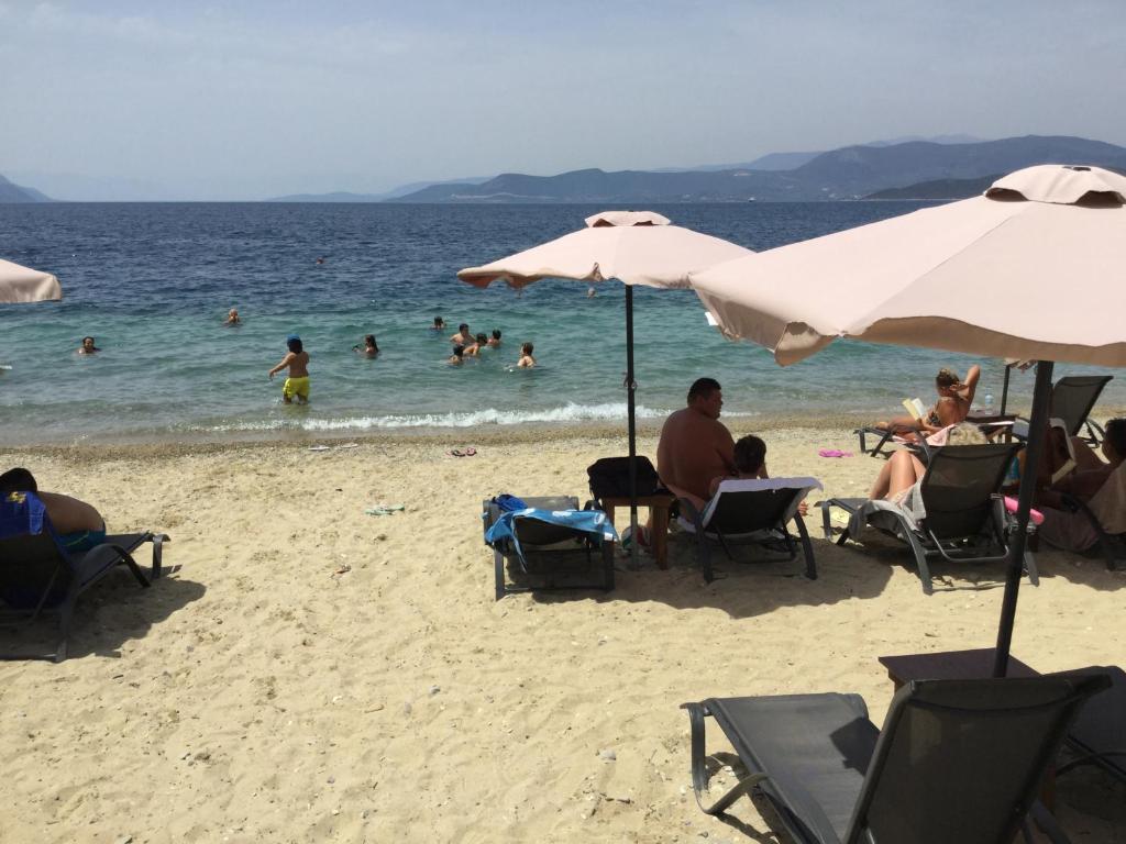 Evia Dream photo 3