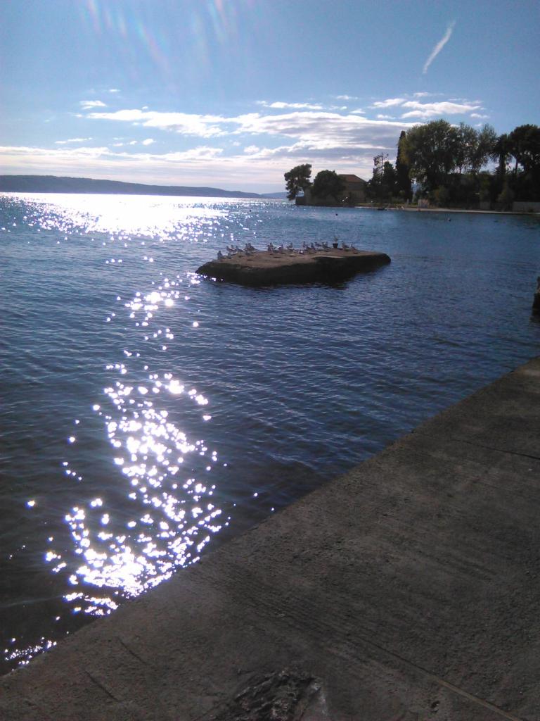 Allegria photo 2