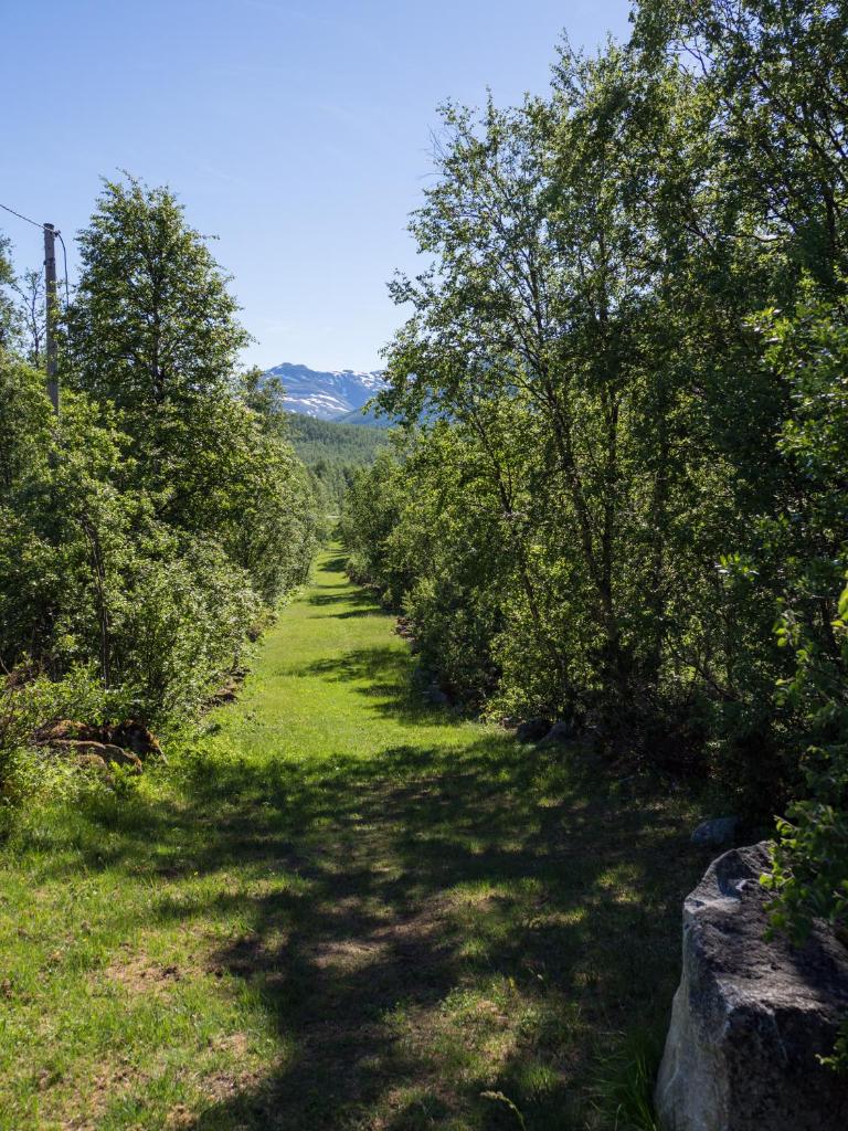 Maristuen Fjellferie photo 3