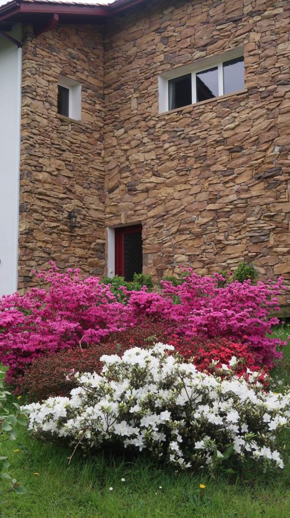 Apitoki - Chambres d'hôtes au Pays Basque photo 2