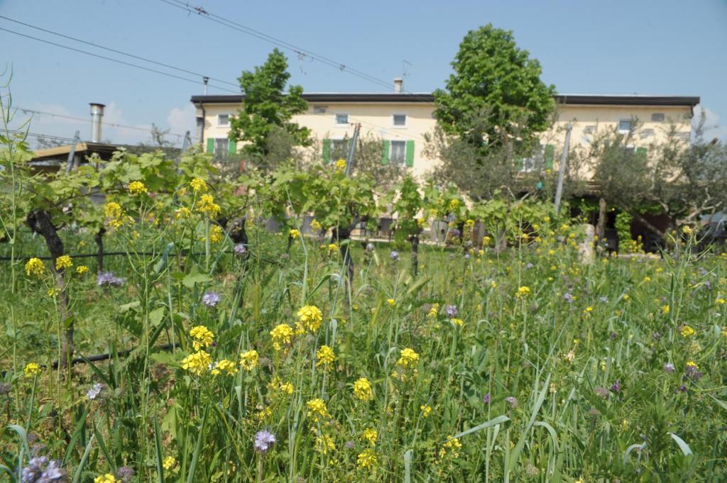 Agriturismo Sol De Montalto photo 1