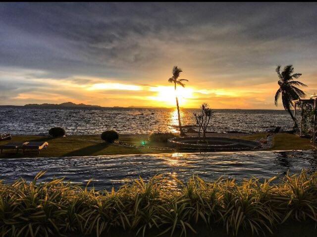 The Palm Beach Front photo 4