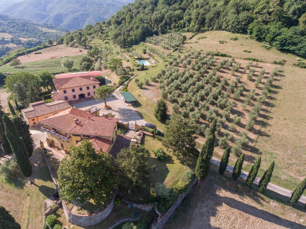 Trebbiolo photo 3