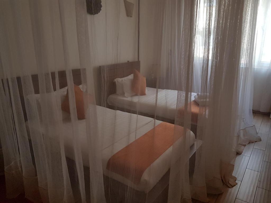The Vic Hotel photo 1