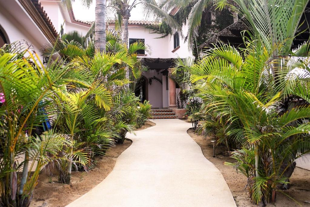 Cerritos Beach Inn photo 3