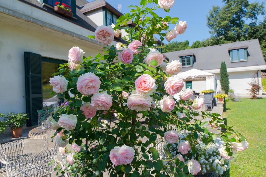 B&B La Provenzale photo 3