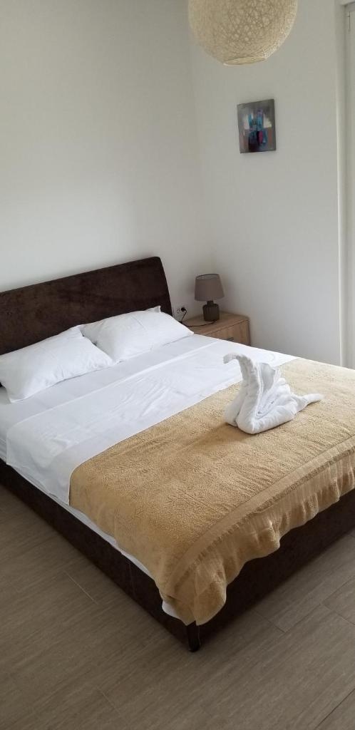 Apartment Vila Mirela photo 4