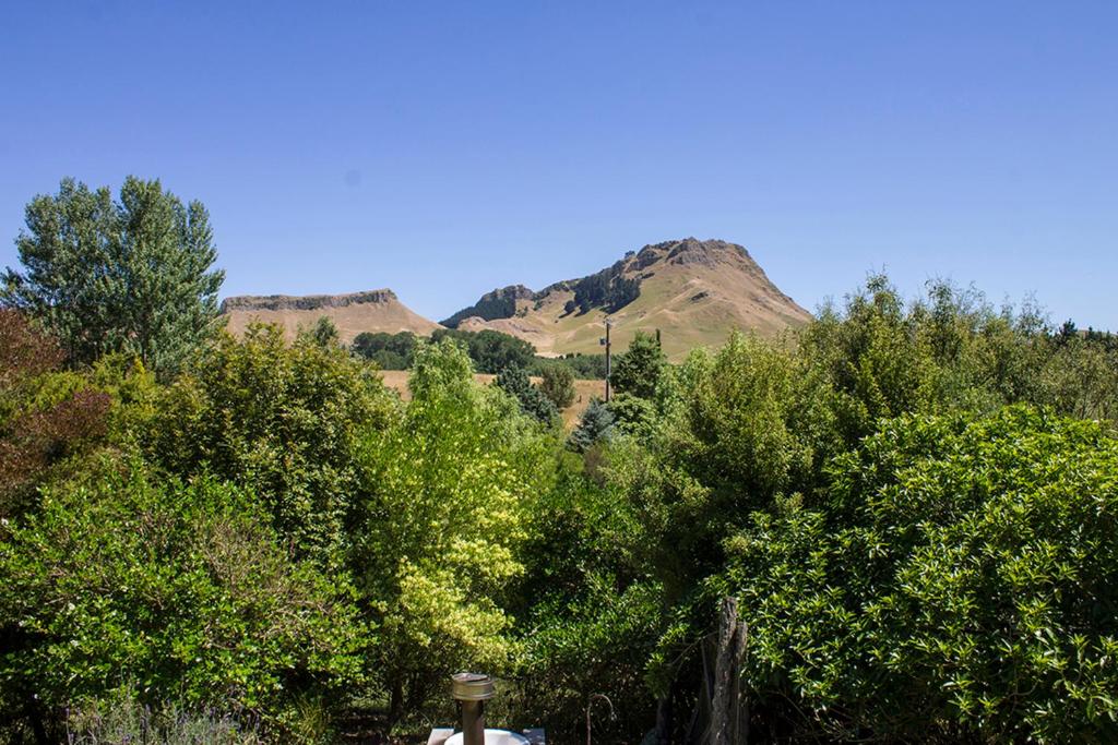 Secluded Haven Near Bush, Beach & Havelock North photo 4
