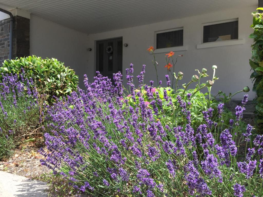 La villa des Savoyards photo 4