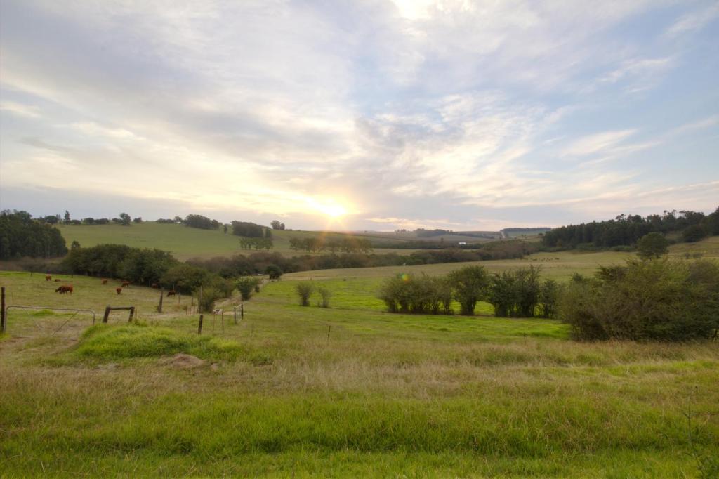 Jolo Farm photo 3
