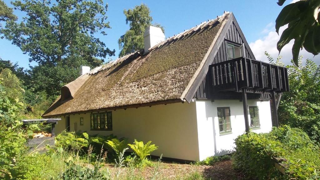 BILLE's HUS photo 2
