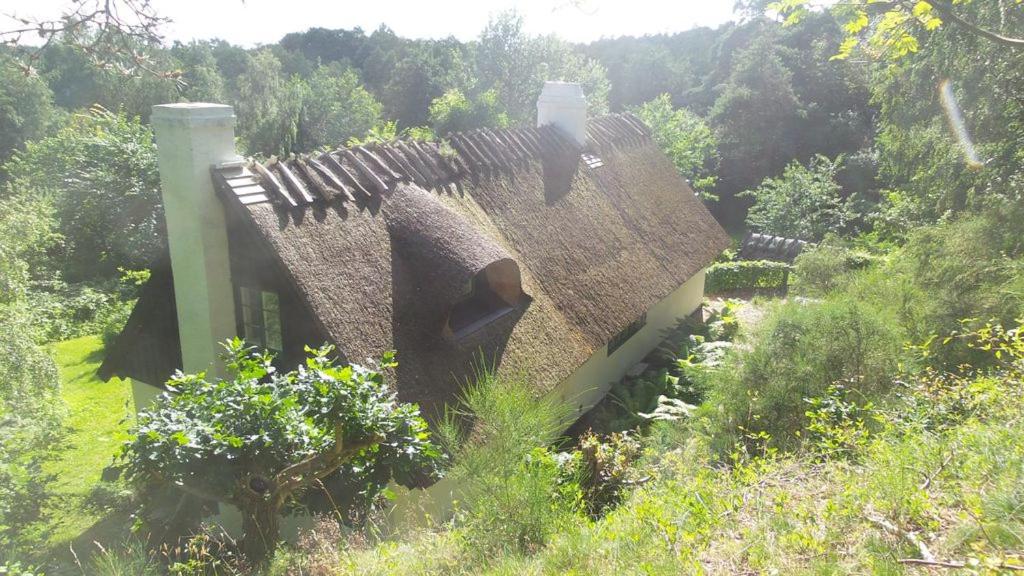 BILLE's HUS photo 3