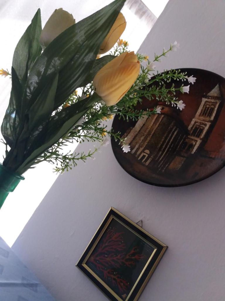 Apartman Nona photo 4
