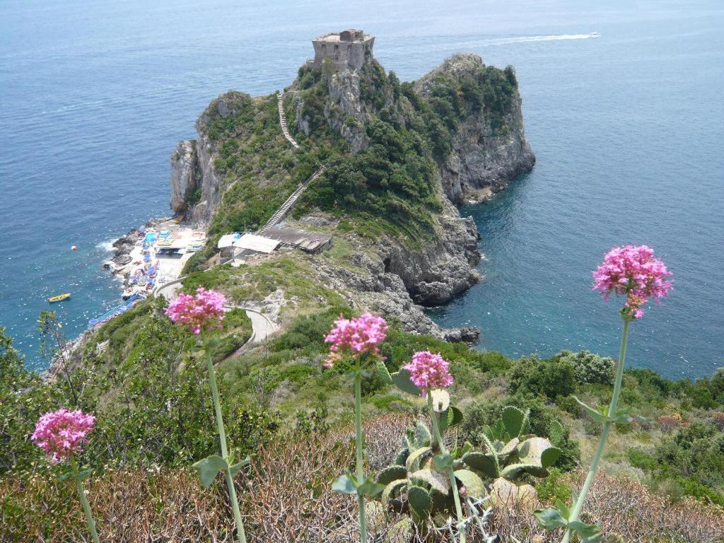 L'Incanto photo 3