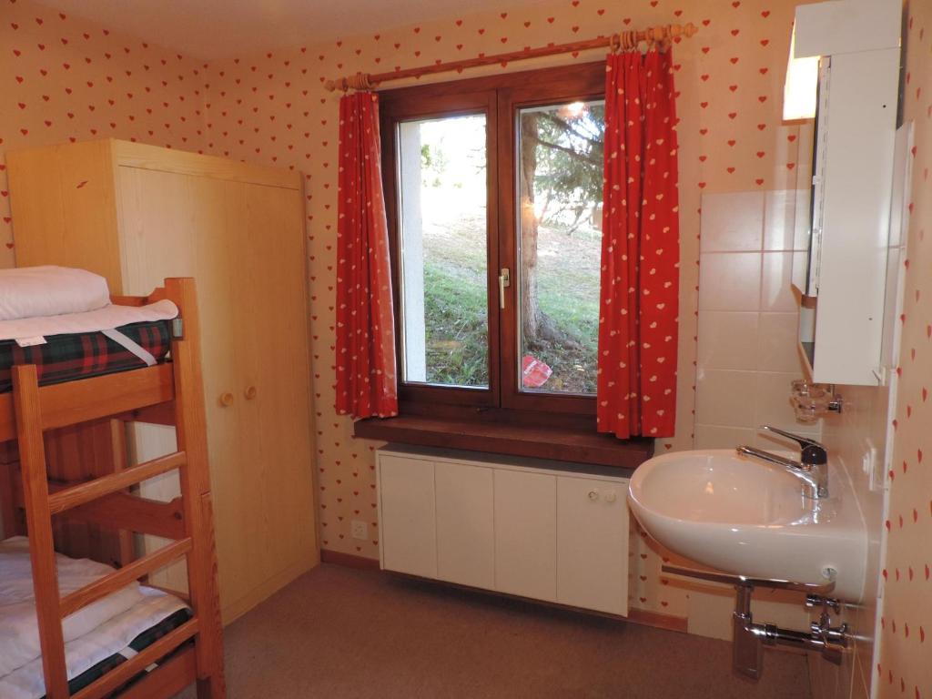 Barlangia (455 Ho) photo 2