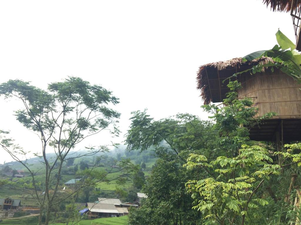 Eco Hills Homestay