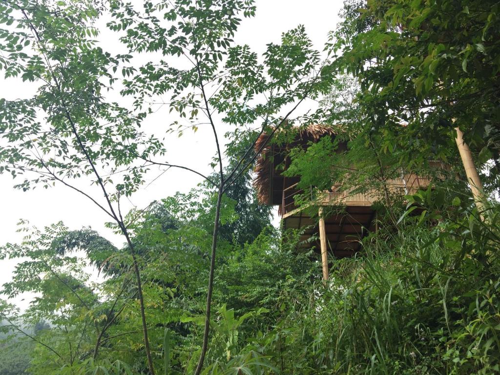 Eco Hills Homestay