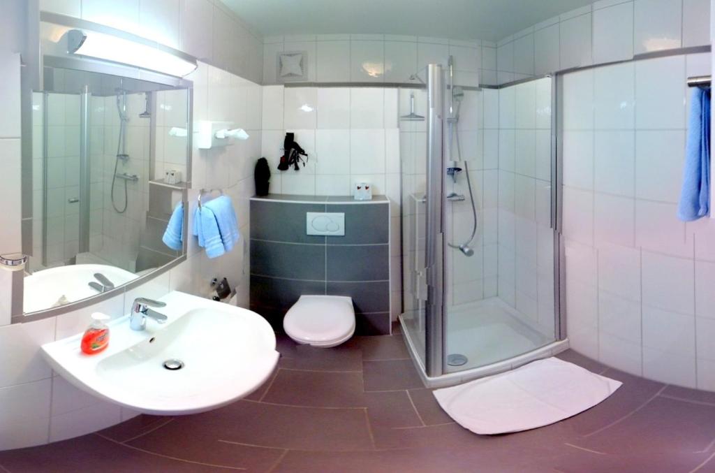 Одноместный (Одноместный номер), Hotel Drei Kreuz