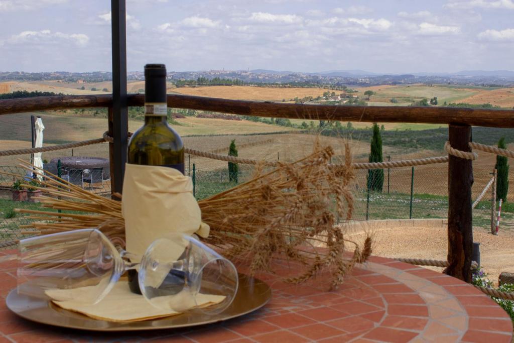 Sunflower con vista su Siena photo 1