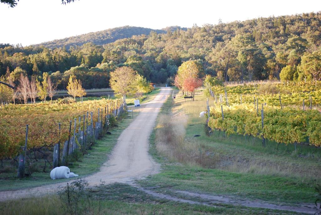 Twisted Gum Vineyard Cottage photo 1
