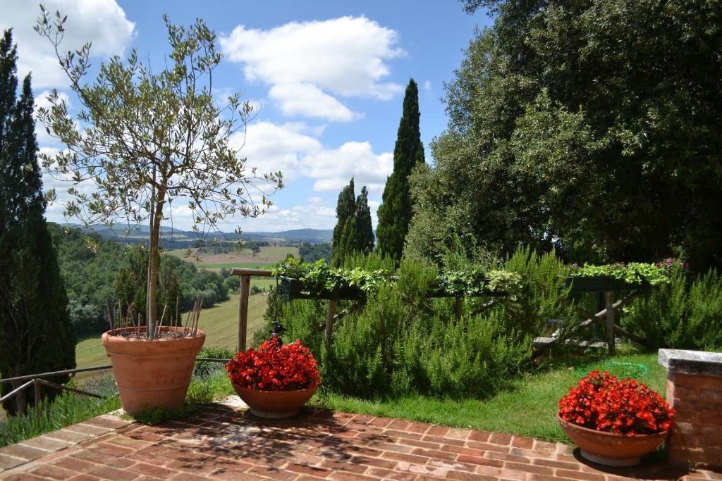 Villa Sant'Alberto photo 2