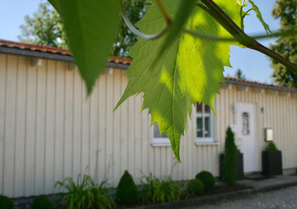 Gästehaus Gaumenflug am See photo 2