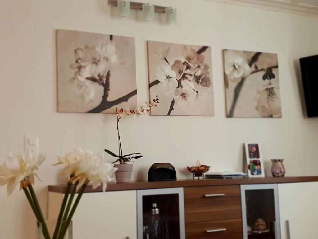 Appartamento via Luina photo 3