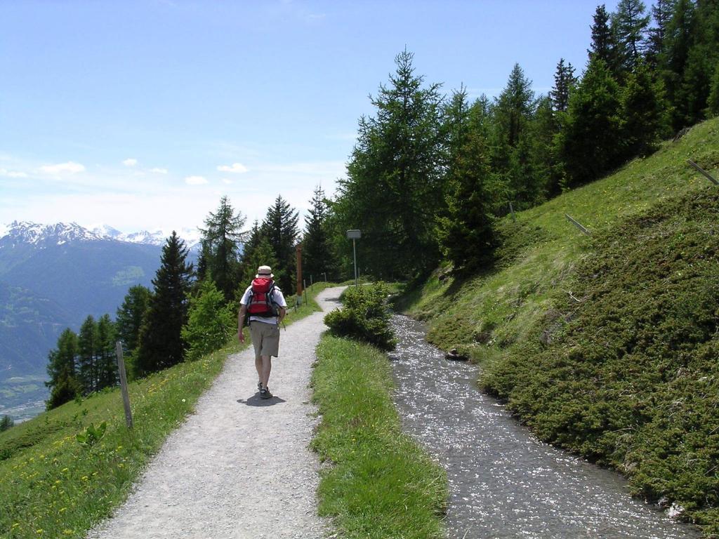 Chalet des Alpes photo 3