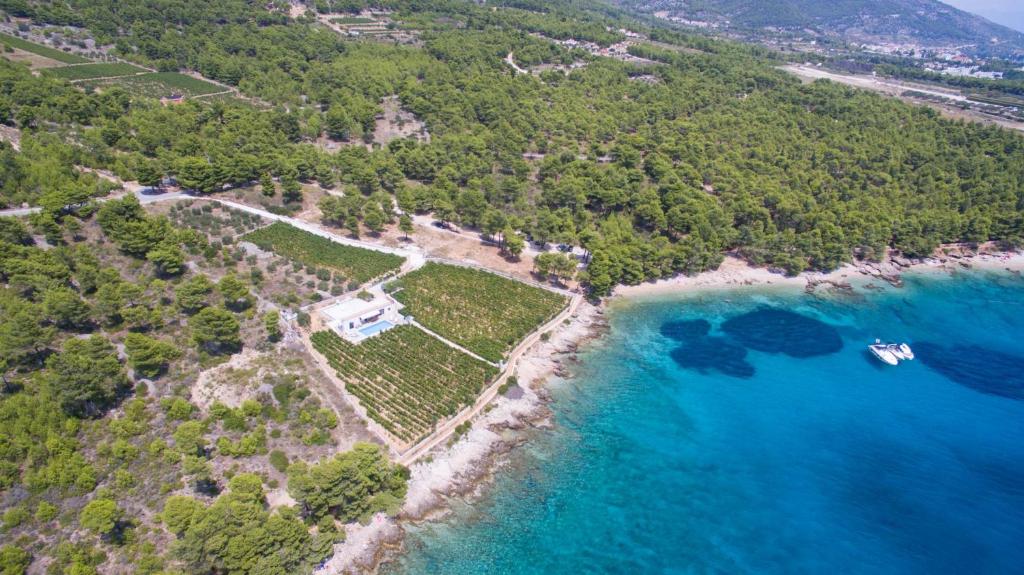 Villa Paola photo 4