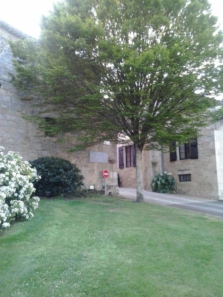 Terraube Bis photo 1