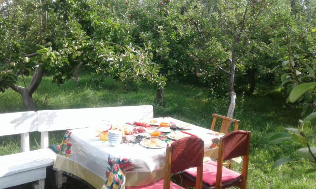 "Bilim" Guest House photo 3