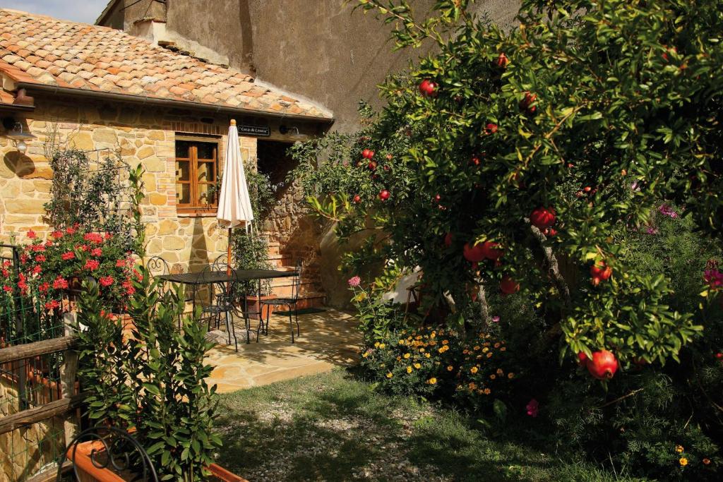 Agriturismo Le Calle photo 2