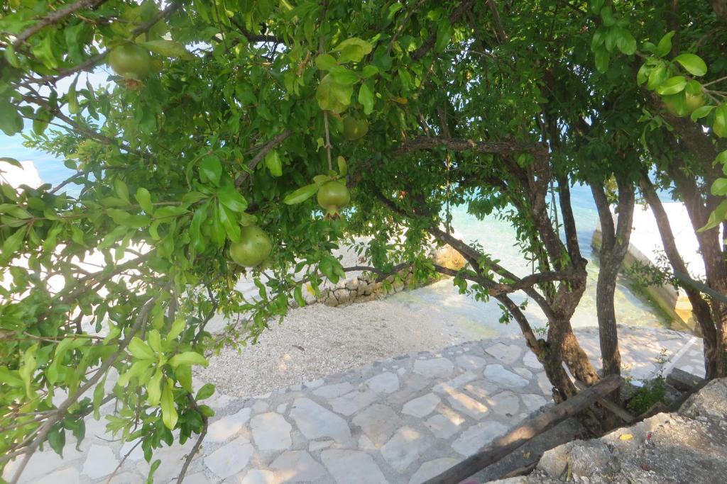 I&J Relaxing Beach Apartments photo 4