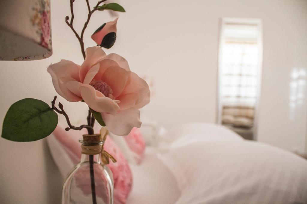 Apartman Dujmović photo 4