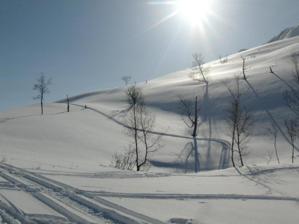Lyngenfjord,Odins Hus photo 4