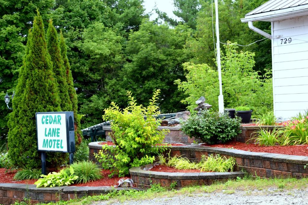 Cedar Lane Motel photo 2