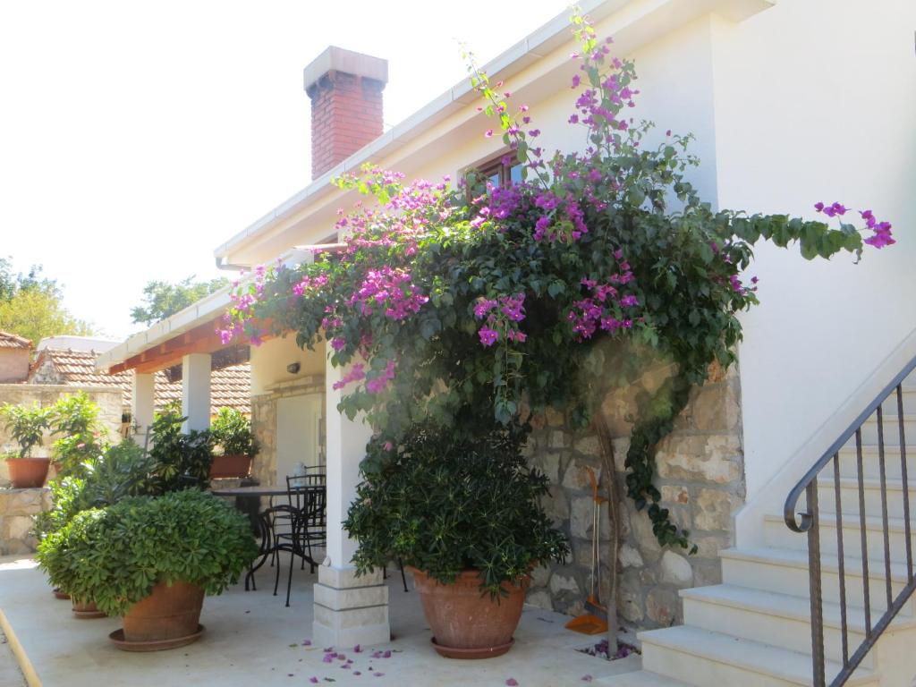 Holiday Home Artina 2 photo 2