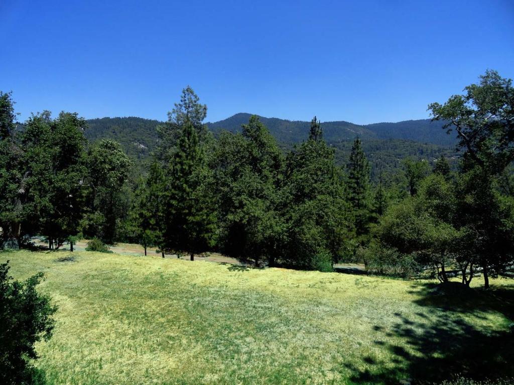 Evergreen Haus photo 3