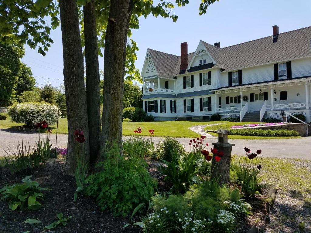 The Fox and the Grapes Bed & Breakfast image