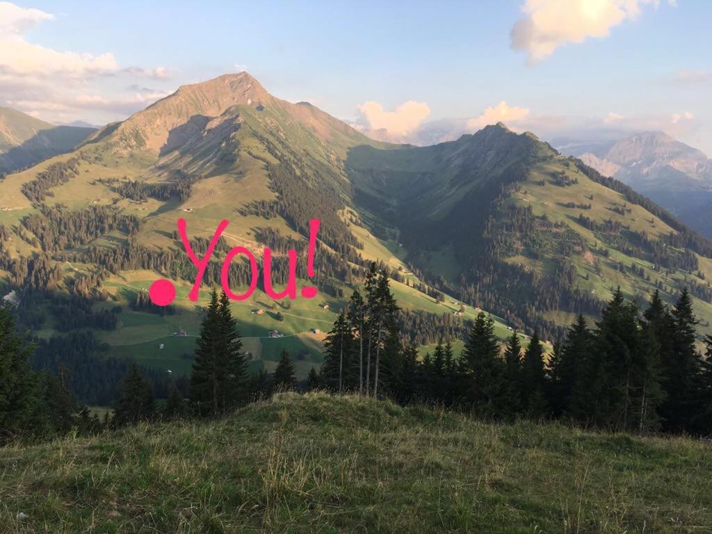 Giferspitz Gstaad photo 1