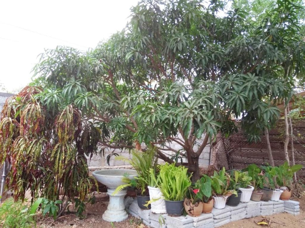 Pawansa Home Stay photo 3