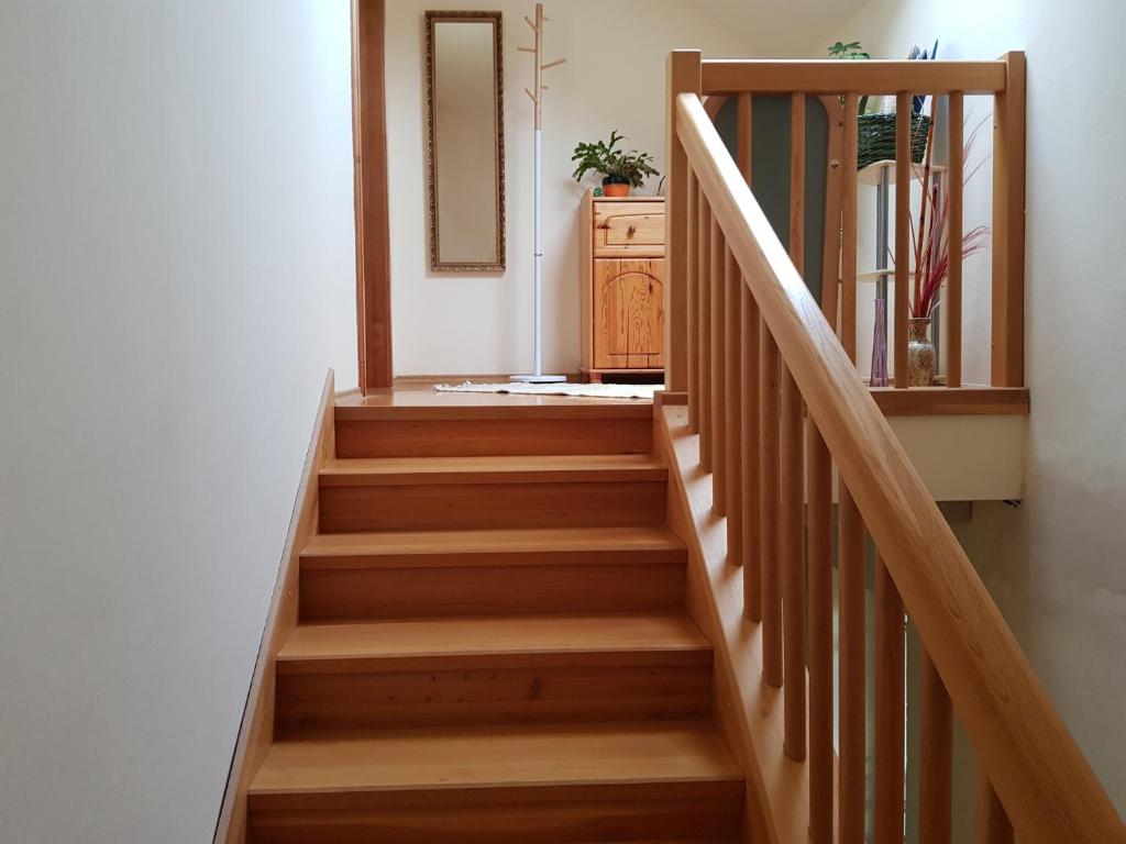 Apartman Aneta photo 1