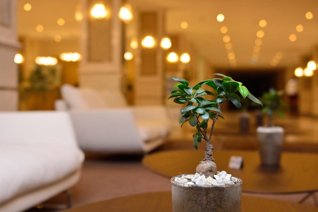 The Grand Gloria Hotel photo 4