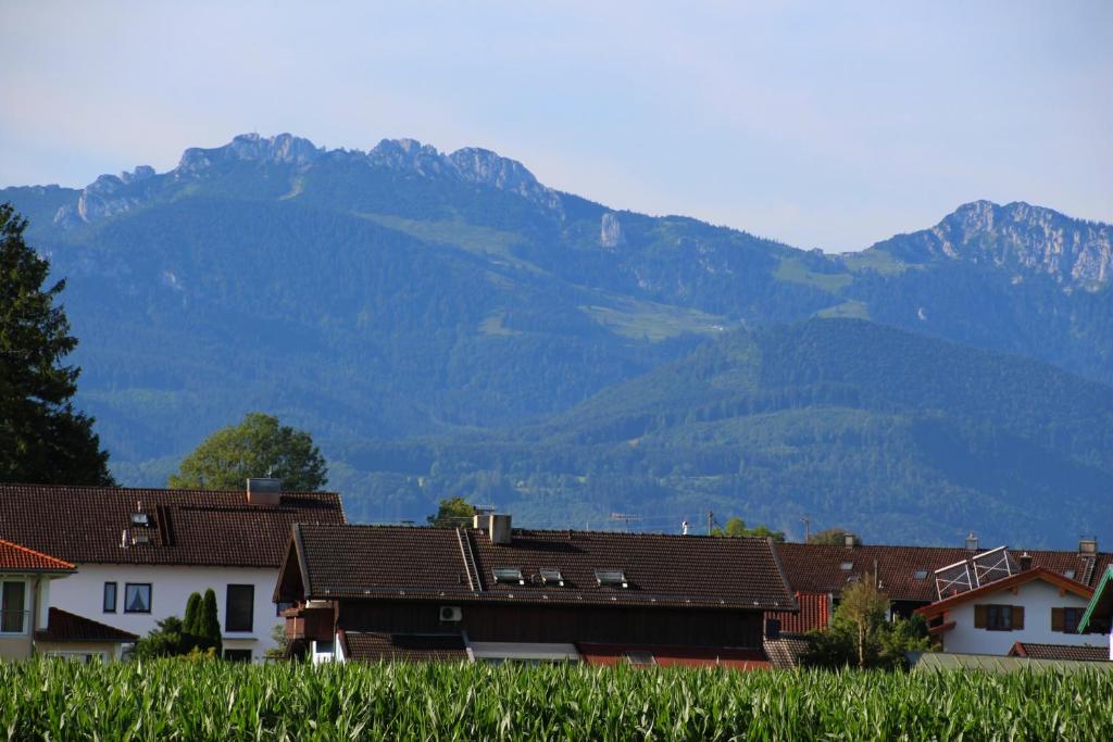 Chiemsee-Edelweiß Ferienwohnung photo 3